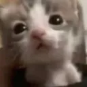 @n3cr0zis