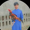 manawarhassain1
