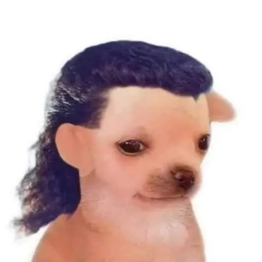 @elfaby