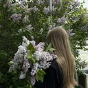 @dwertyyd