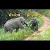 bualukbua8101