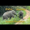 @bualukbua8101