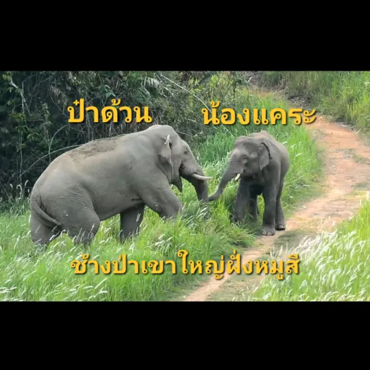 bualukbua8101