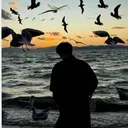 @zhms88