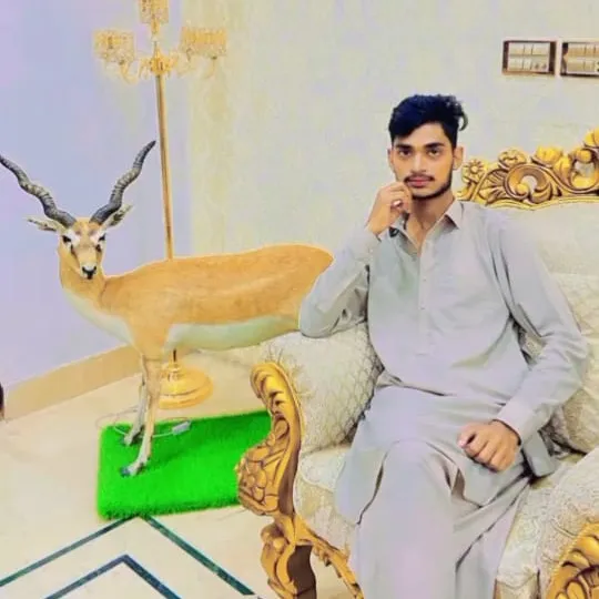 hassnain.rajpoot815