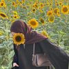 shams.alahsa