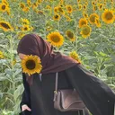 @shams.alahsa