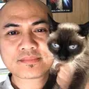 @straycatsangel
