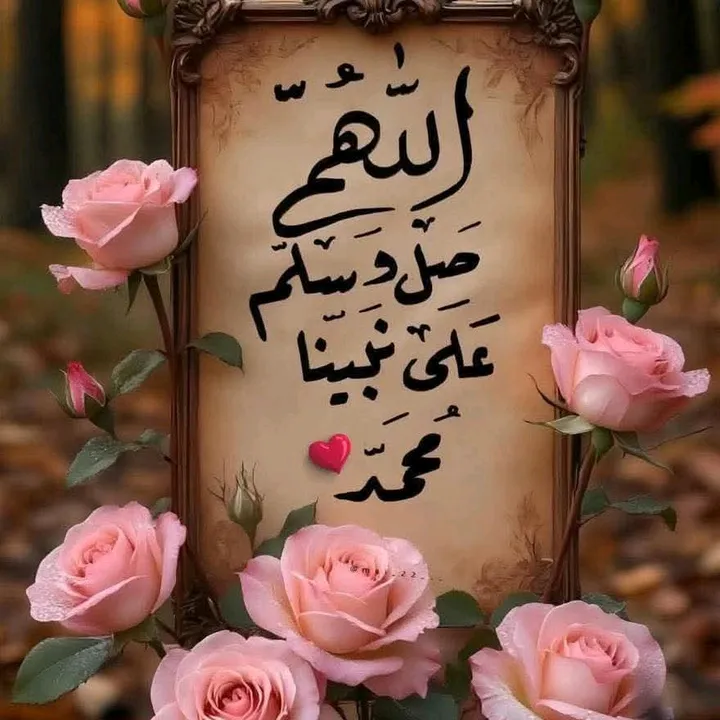 .heba.rabee