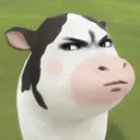 @celicimett