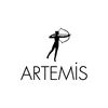 artemisyayinlari