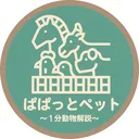 @papatto.pet