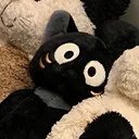 @xxxxxxxxxxxeiu