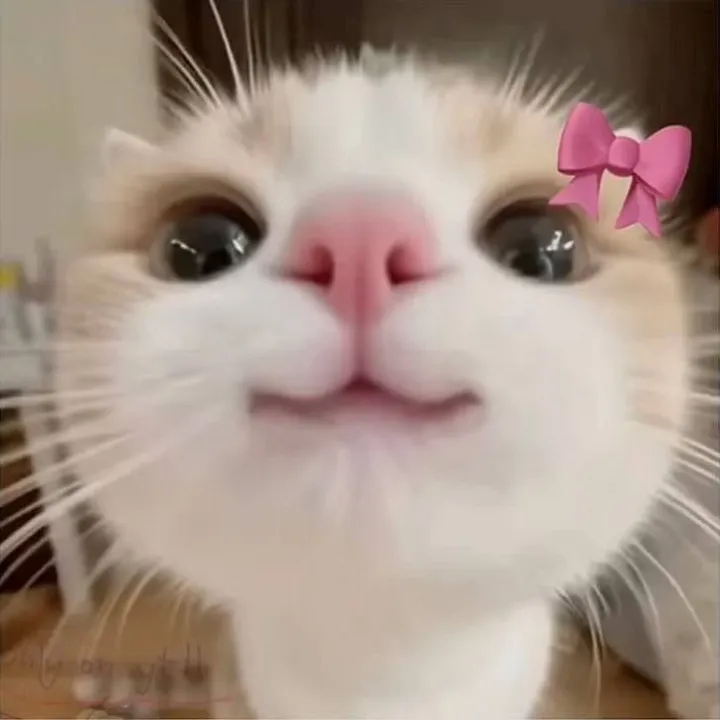 @onlysweetmeee