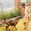 maaabkhan