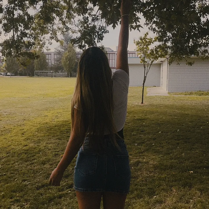 sierras_archives