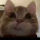 @werzis_s