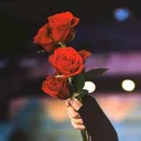 @my_wonie24