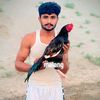 ali_nahra