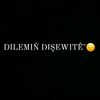 dilemin___disewite