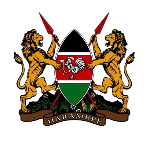 mnmungisha