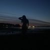 bail33_dawn