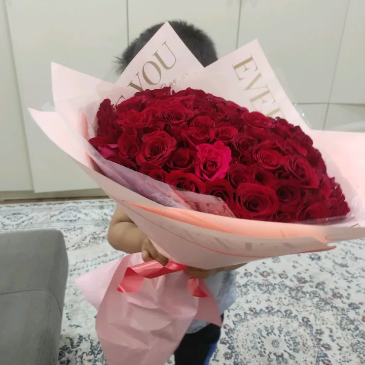 meder_s88