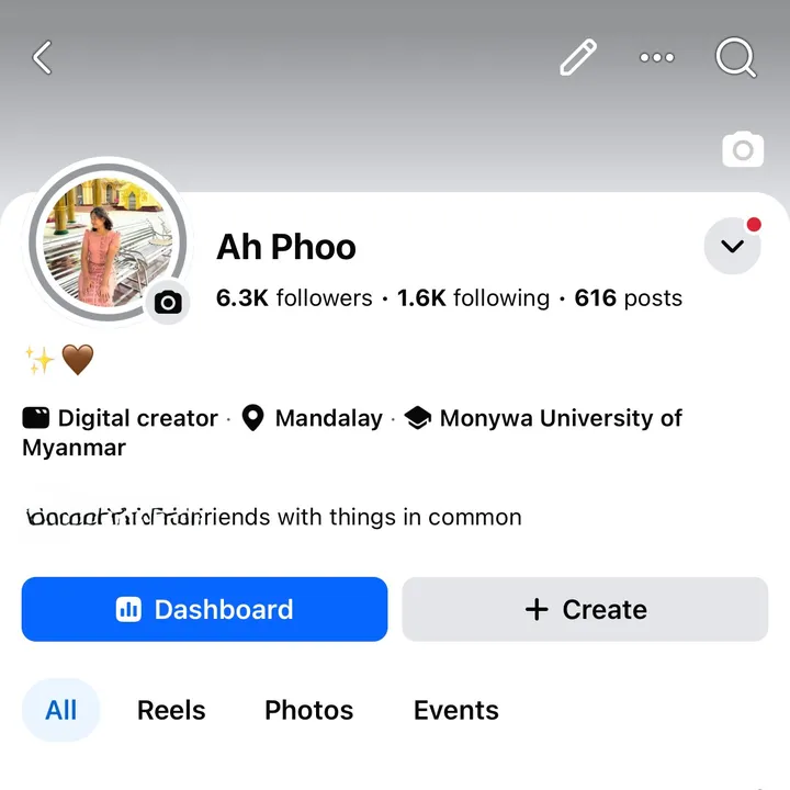 @ahphoocollection1