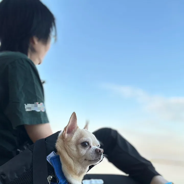 nicky_taro