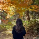 @freemind_rei