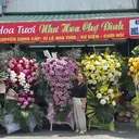 @hoatetbinhduong