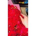 @nimrafarhan689