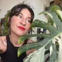 @thehouseplantqueen