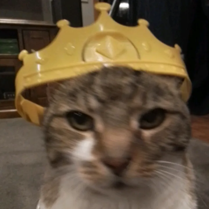 otis_loafer
