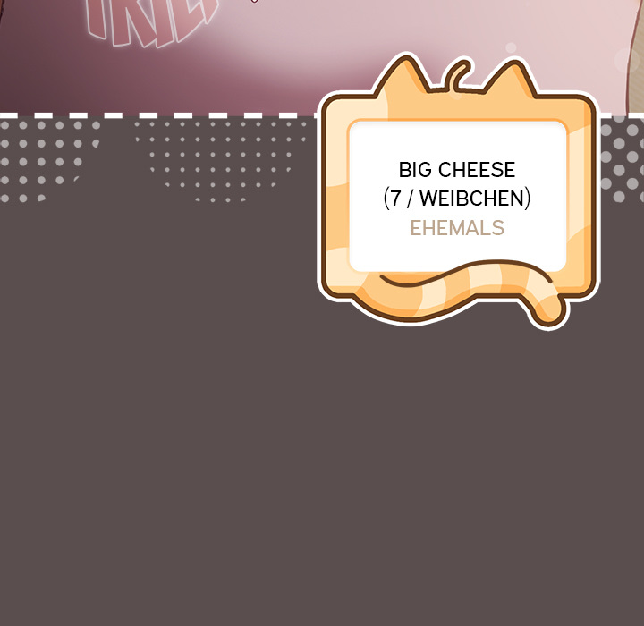 Das Kuppelkätzchen - episode 7 - 16