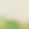 502319.apple