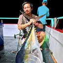 @kitranong