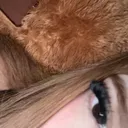 @lilith.prett