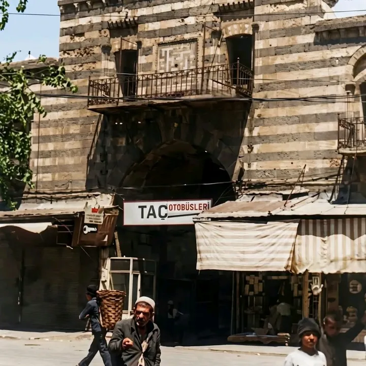 amed_surici_21