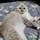 @mrbobby1394