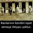 @hasan.ala.0233