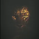 @13majhaill