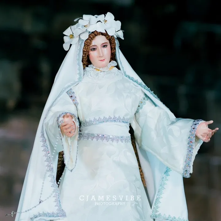 mary.mediatrix.hc
