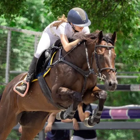 als_equestrian