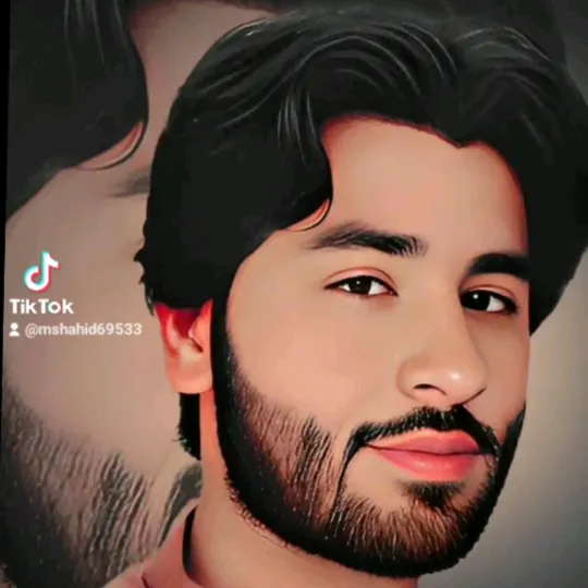 @mshahid69533