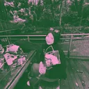 @tulankpunkgunk