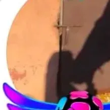 @yslma7