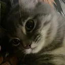 @doxxbbyil