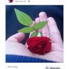 muhammadirshad3594