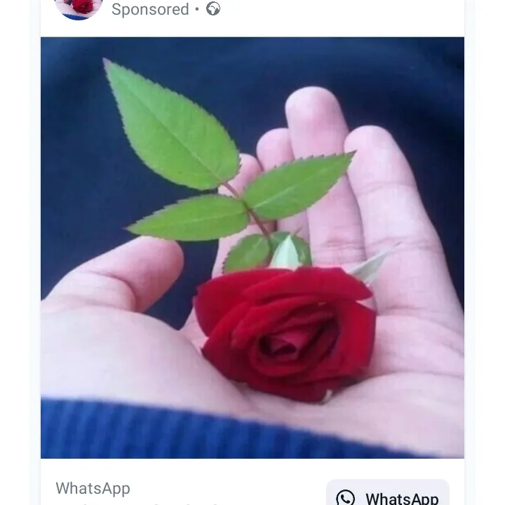 muhammadirshad3594